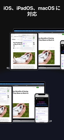 Search Web Archives for Safari のスクリーンショット