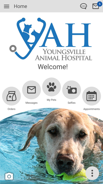 Youngsville AH Screenshot