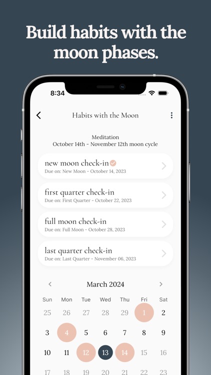 Luna Focus: Reflect & Grow screenshot-3
