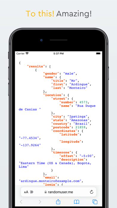 PrettyJsonInBrowser Screenshot 8 of 8