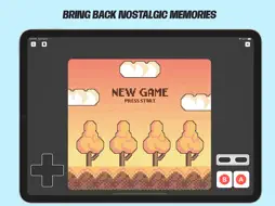 Dolphin Emulator - Basic screenshot 4