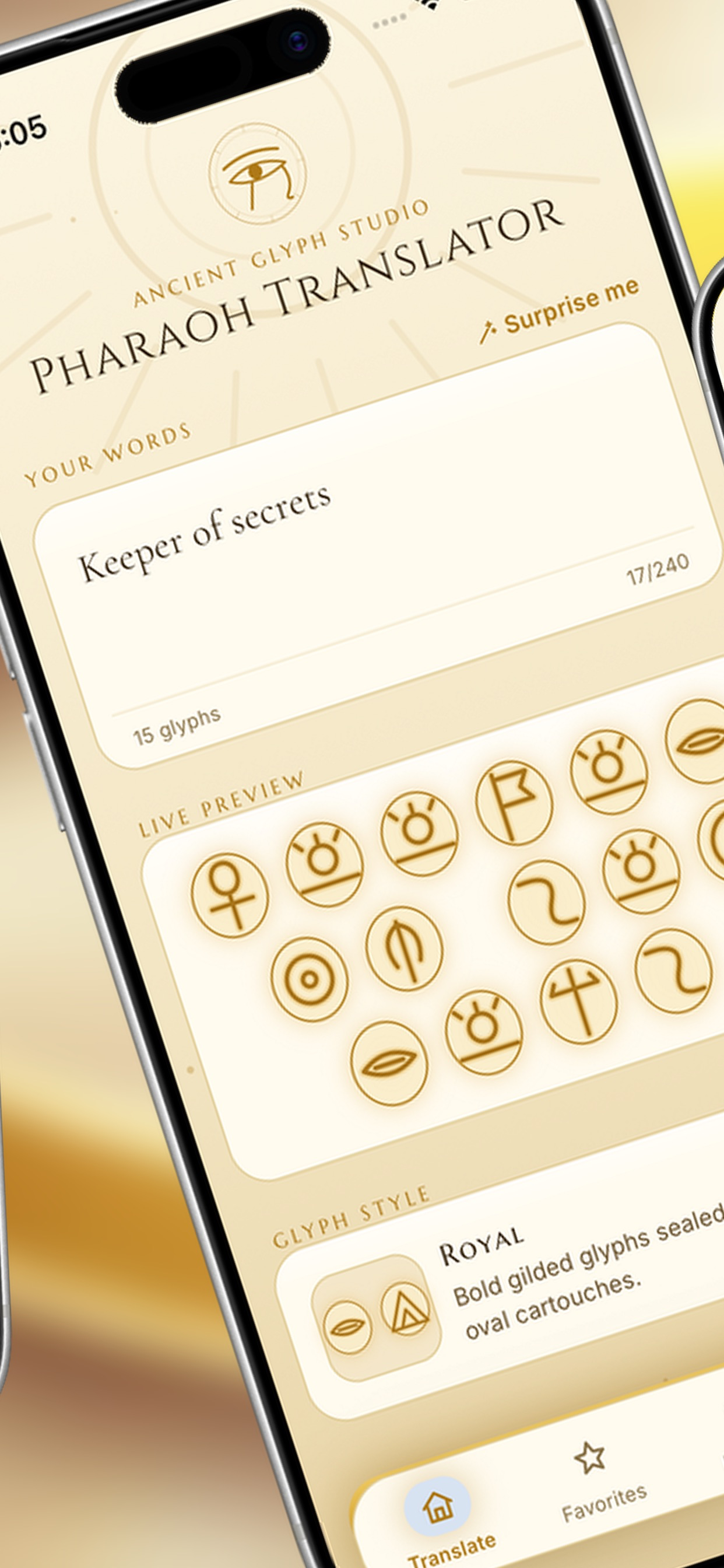 PharaohTranslator screenshot 5