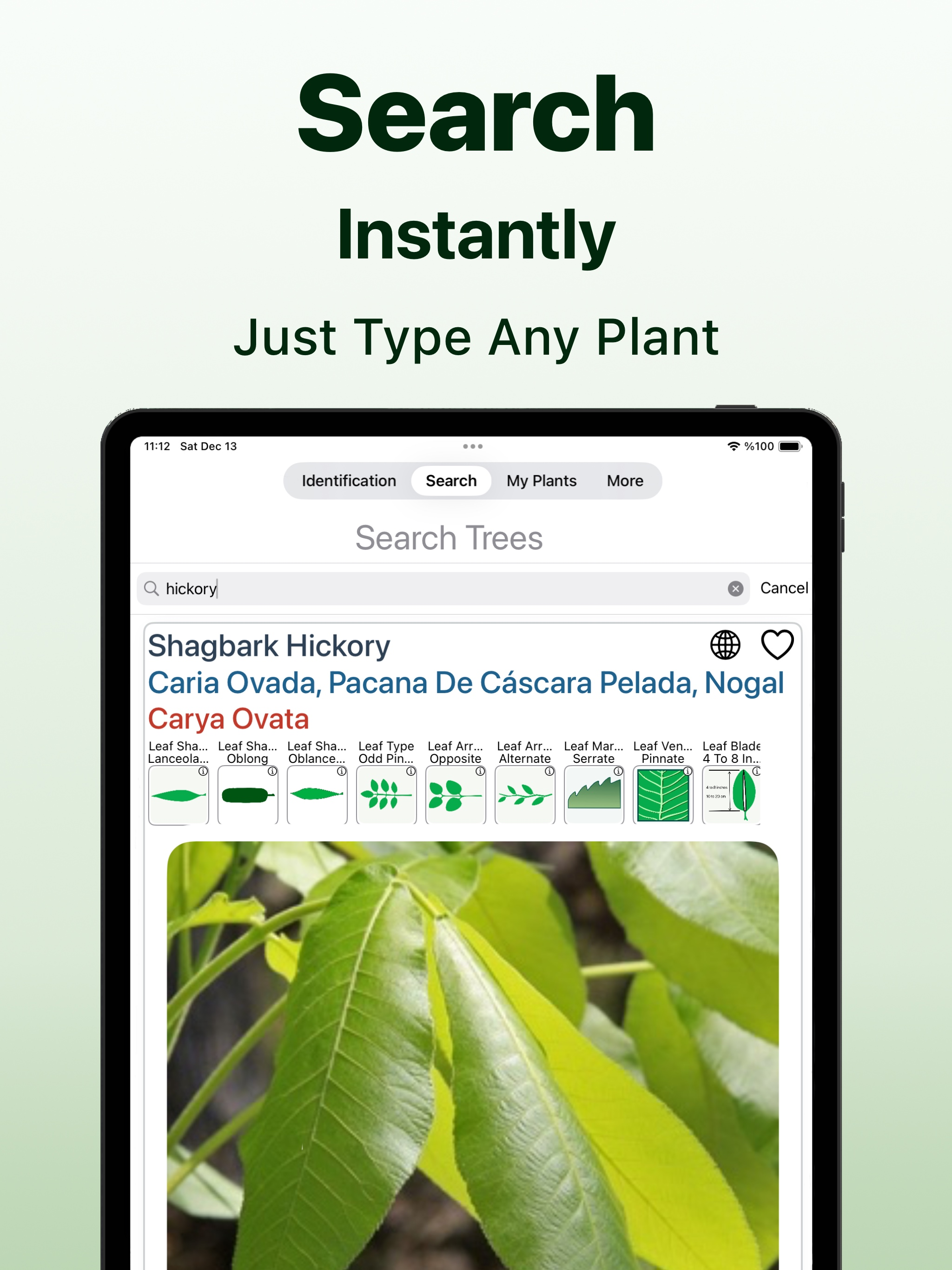 https://is1-ssl.mzstatic.com/image/thumb/PurpleSource221/v4/96/2d/8c/962d8c5b-2eb0-57ec-6064-5adbf7d67814/IPad_12_9_07_en.jpg/2048x2732.png
