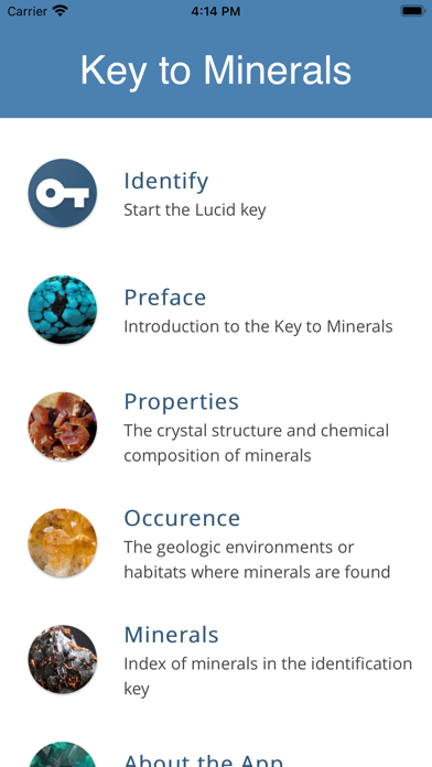Screenshot #2 pour Mineral Key