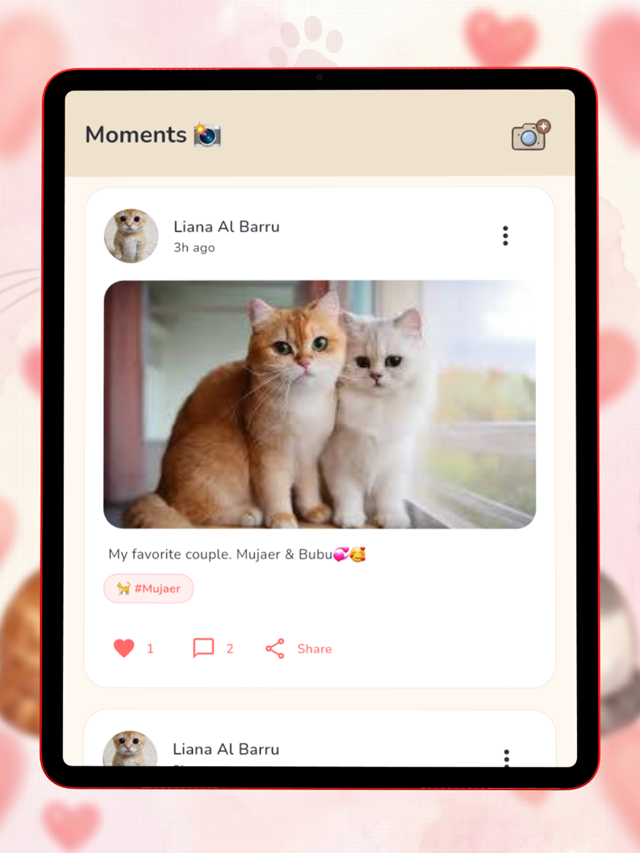 My Cat Pal screenshot 7