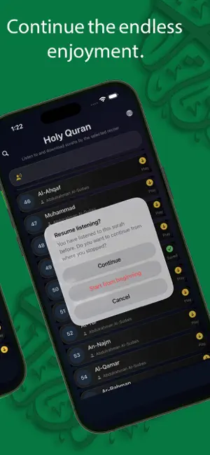 The Audio Holy Quran screenshot 3