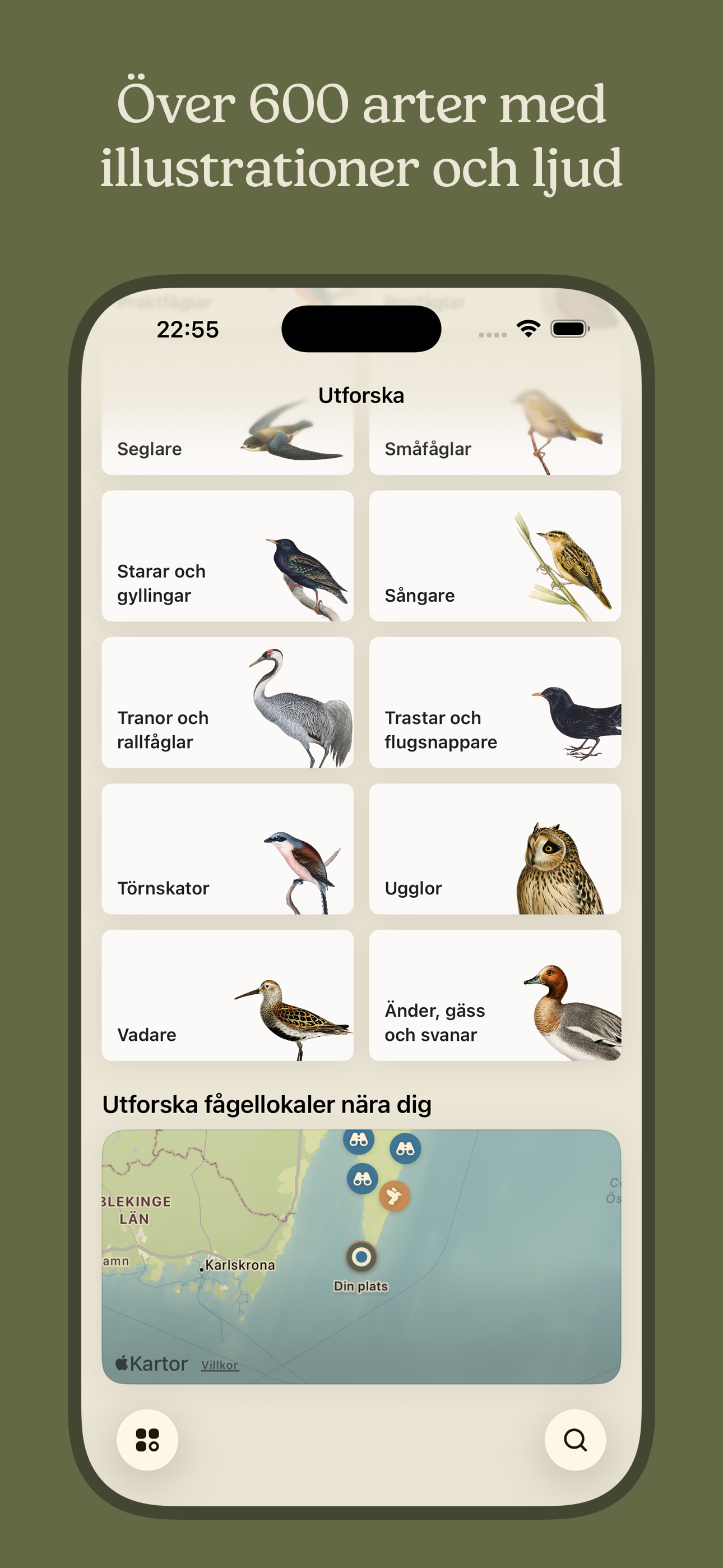 Mina fåglar screenshot 6