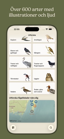 Mina fåglar iPhone screenshot 6