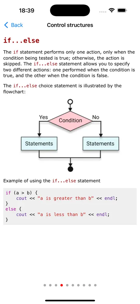 C++ Programming Pro screenshot 3