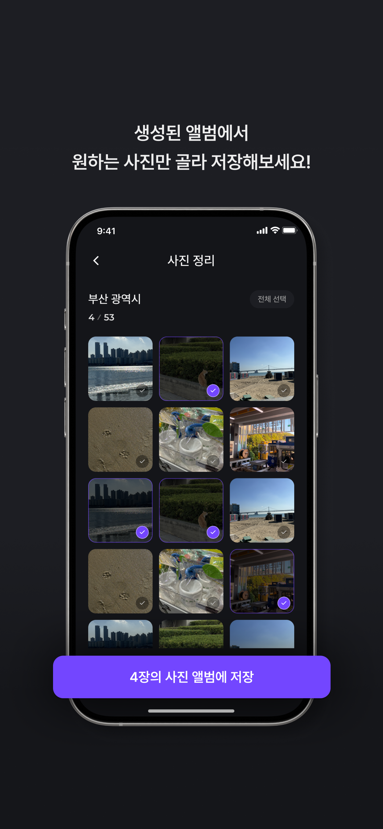 쉬운 사진 정리, Chac