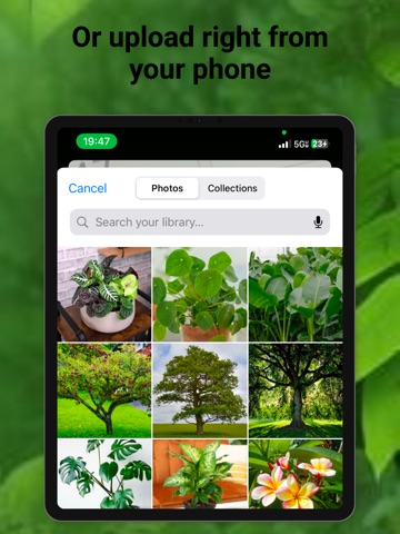 Plant & Flower Identifier AI iPad screenshot