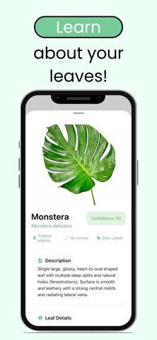 Leaf Identification: Plant ID Screenshot 3 of 4