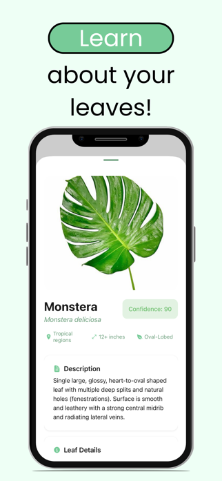 Leaf Identification: Plant ID Screenshot 3 of 4