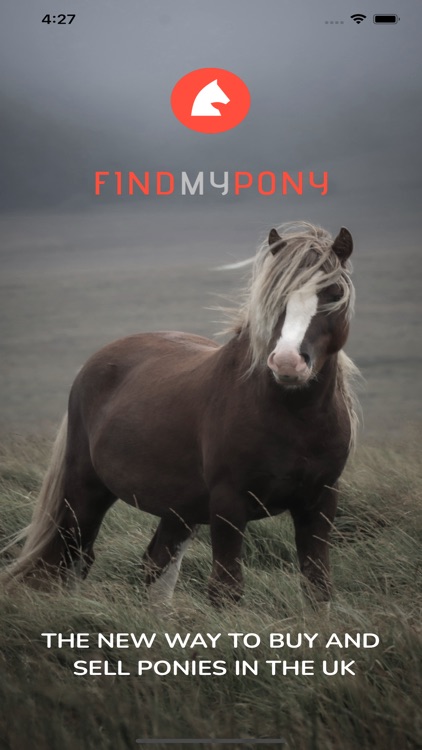 Find My Pony