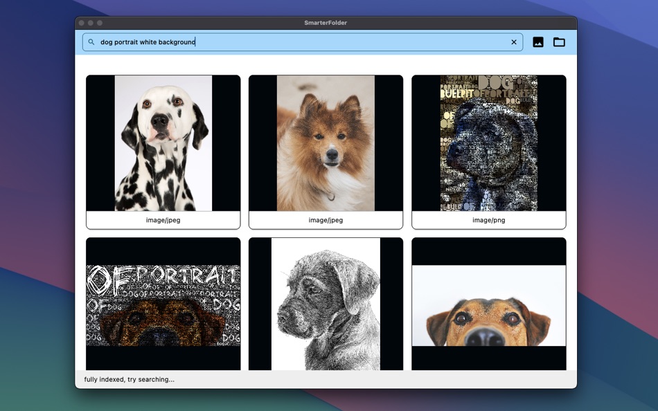 #1. AI Photo search: SmarterFolder (macOS) 由: Zancore Systems s.r.o.