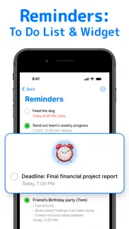 reminders: to do list & widget iPhone Captures Décran 1