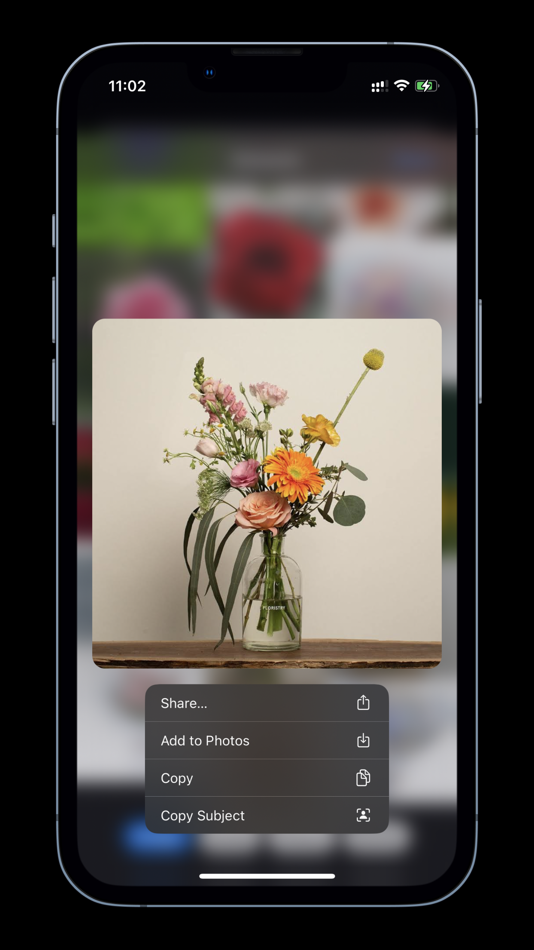 #2. Extractor for Safari (macOS) 게시자: 磊 汪
