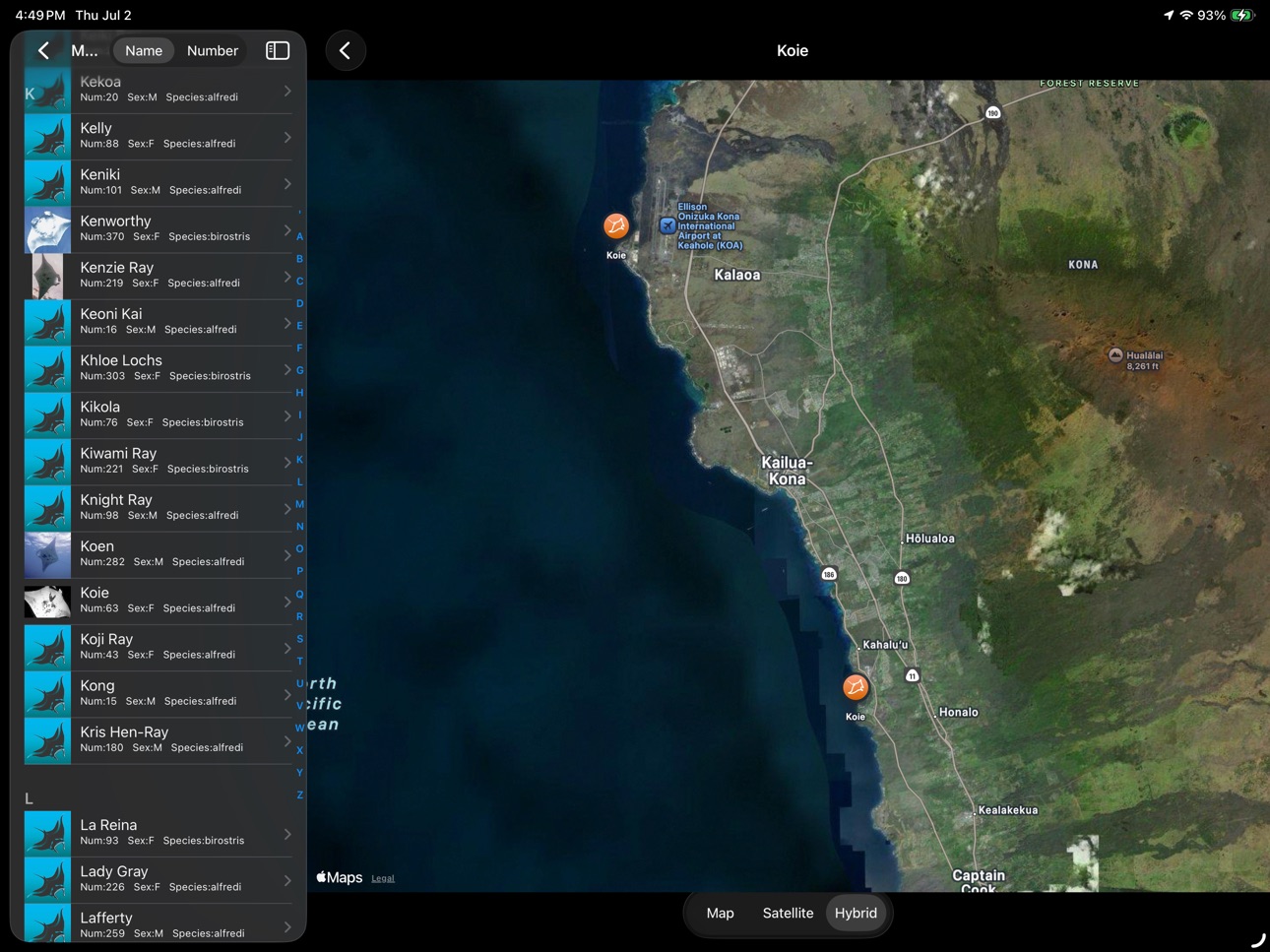 iPad screenshot