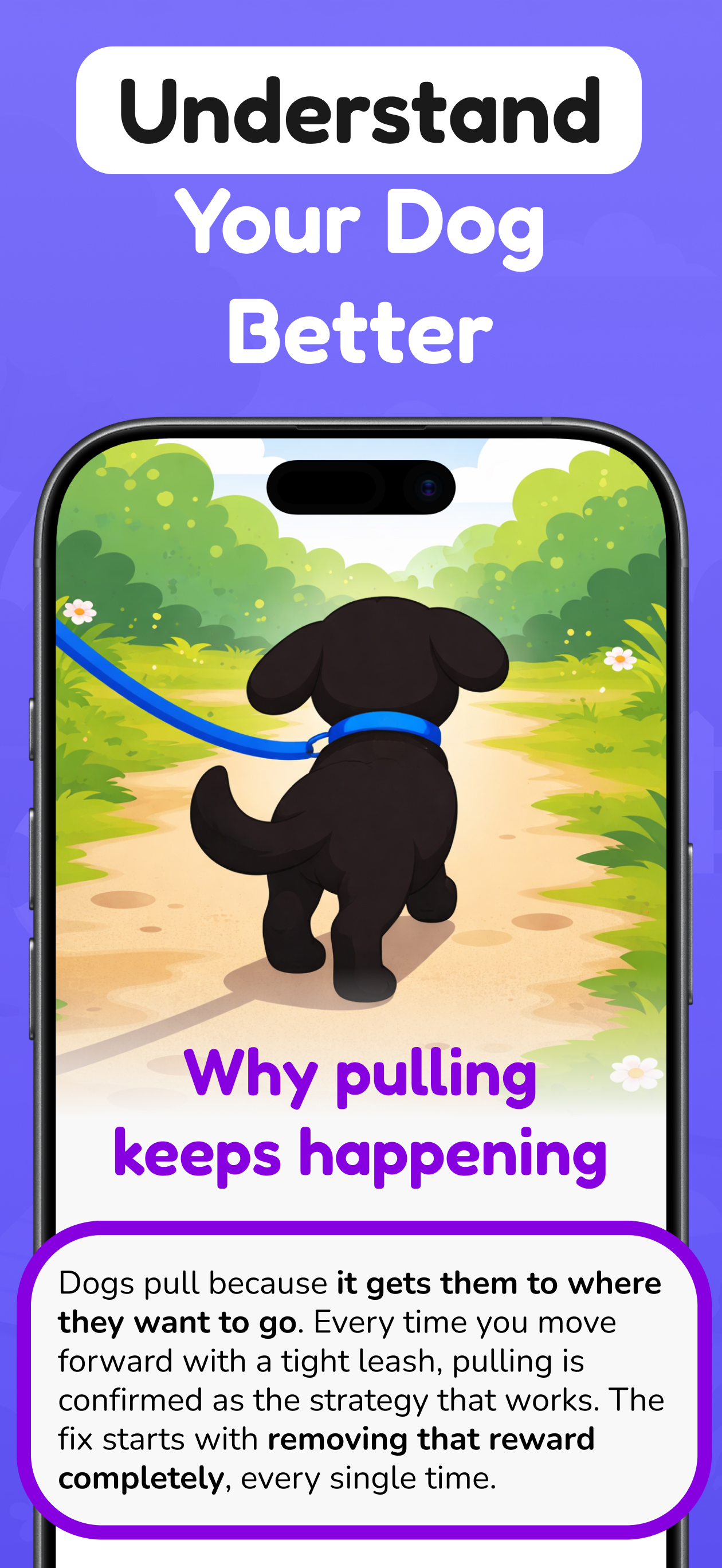 Puppy & Dog Training: 101 Paws screenshot 7