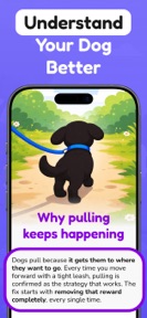 Puppy & Dog Training: 101 Paws screenshot