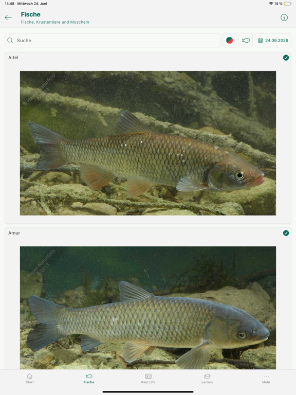 Screenshot #5 pour Fische OÖ - Schonbestimmungen