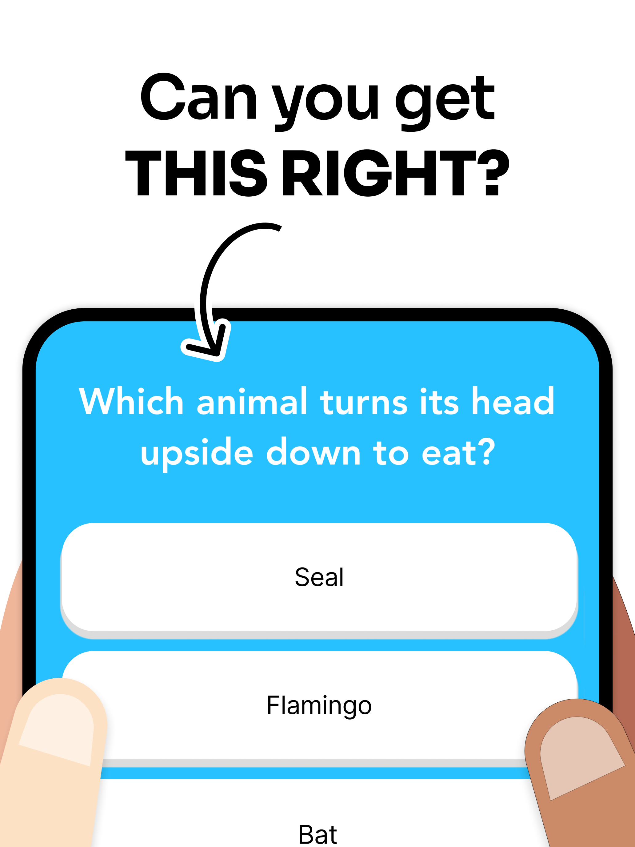 General Knowledge Trivia Quiz. screenshot 9