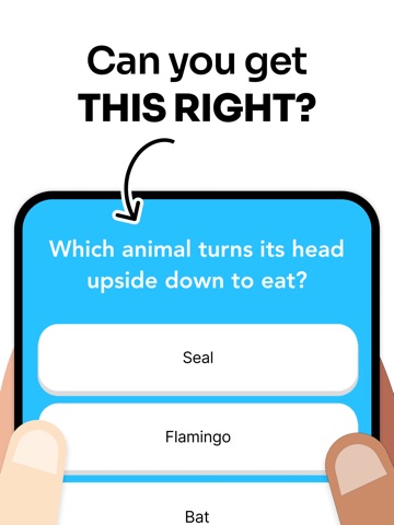 General Knowledge Trivia Quiz. iPad screenshot
