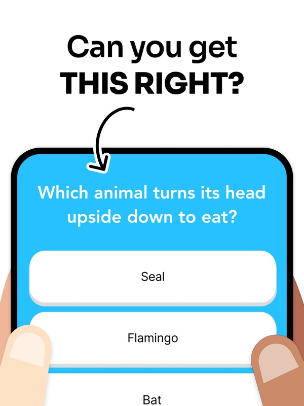 General Knowledge Trivia Quiz. screenshot 9