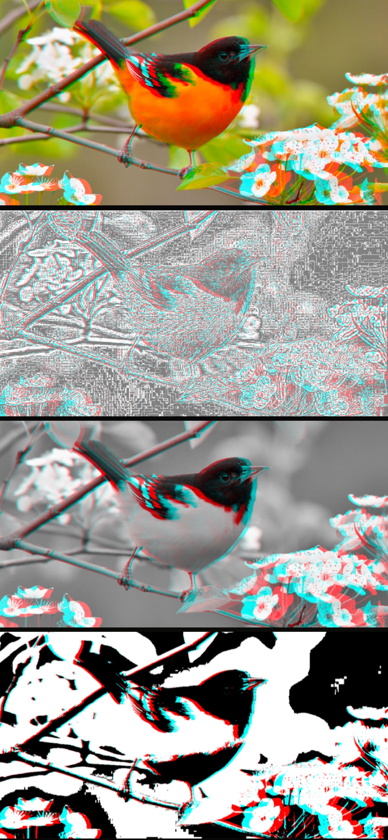 Anaglyph 3D