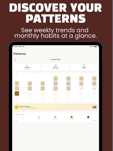 Caffeine Tracker - Daily Log iPad screenshot