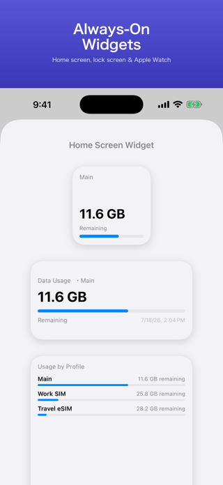 GigaGuard: Data Usage Widget Screenshot 2 of 6