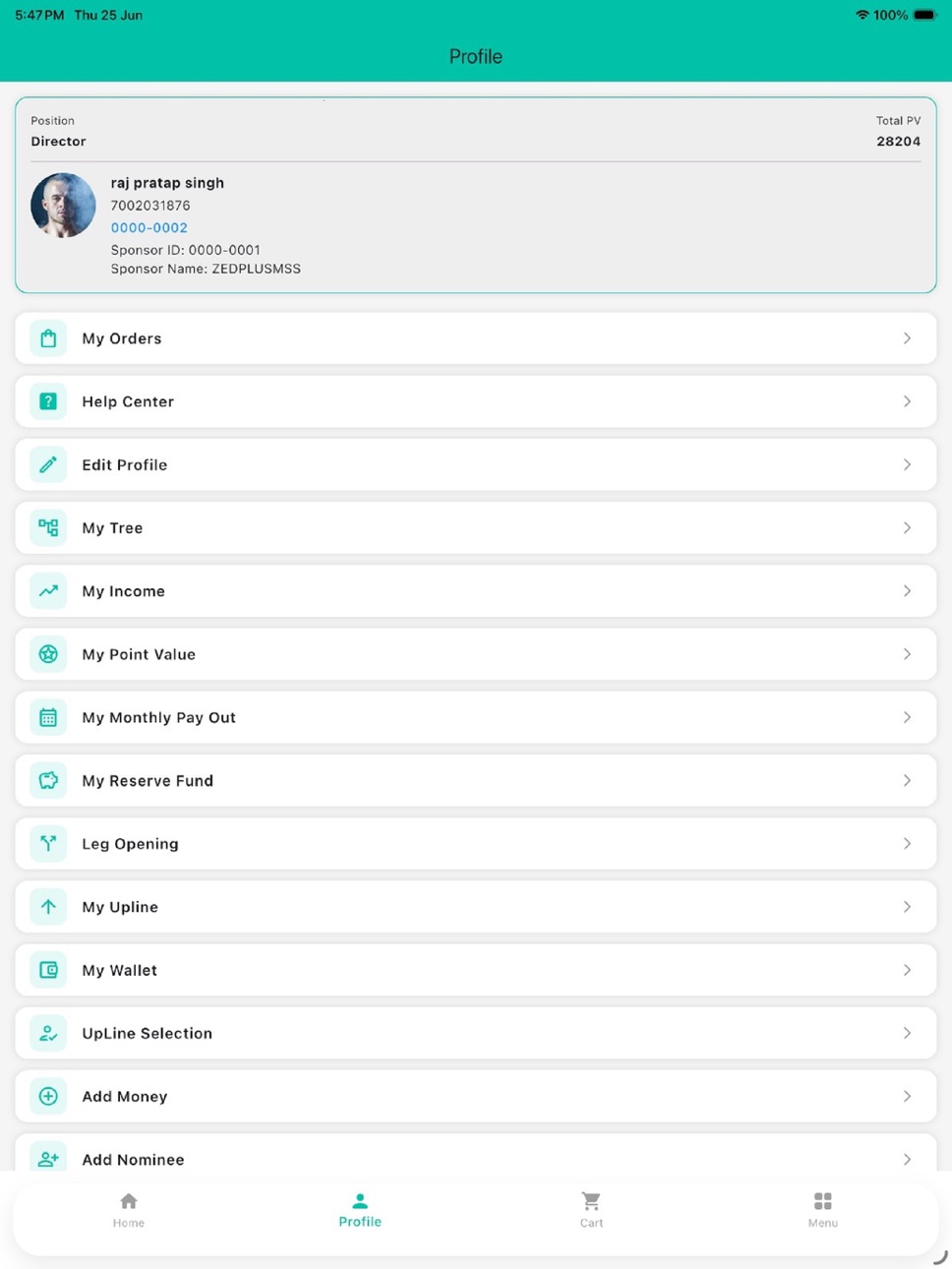 iPad screenshot