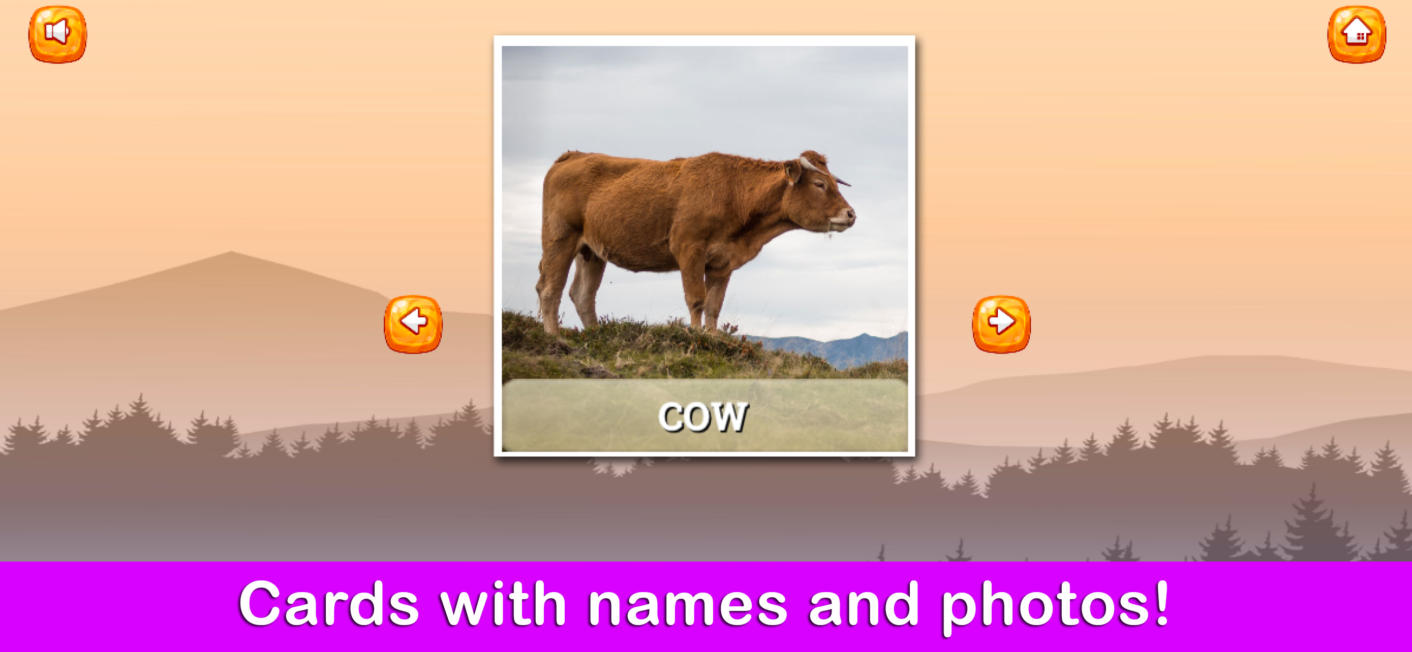 Animal Name Learning Game