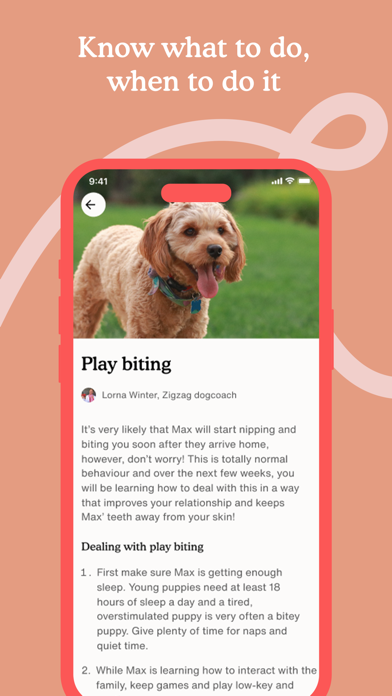 Zigzag - Puppy & Dog Training Screenshot