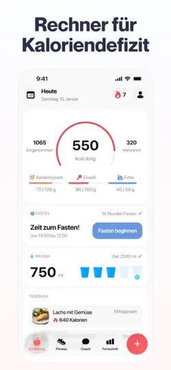 Screenshot von Welmi - Kalorienzähler auf dem iPhone 2