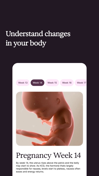 Suun – Pregnancy & Postpartum screenshot