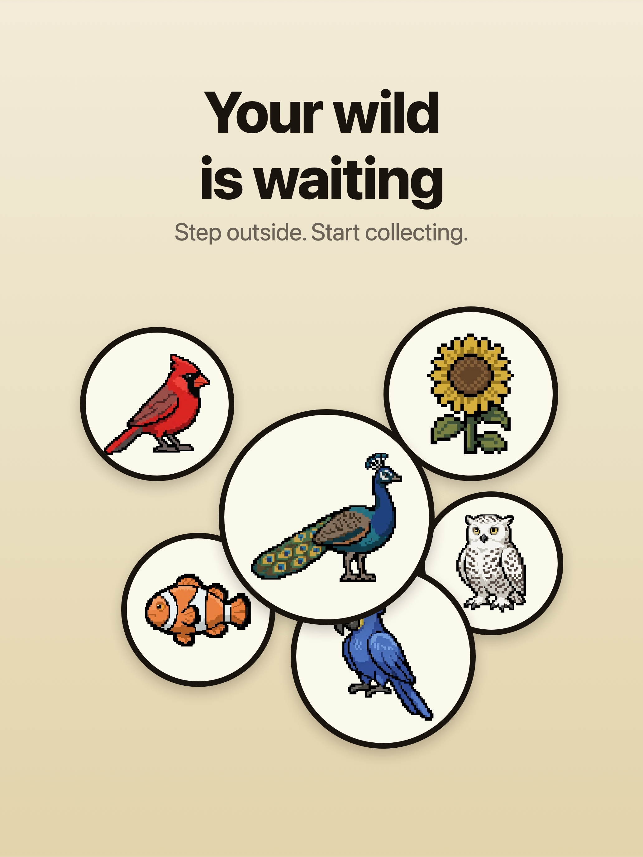 Pixel Wild: Nature Discovery screenshot 21