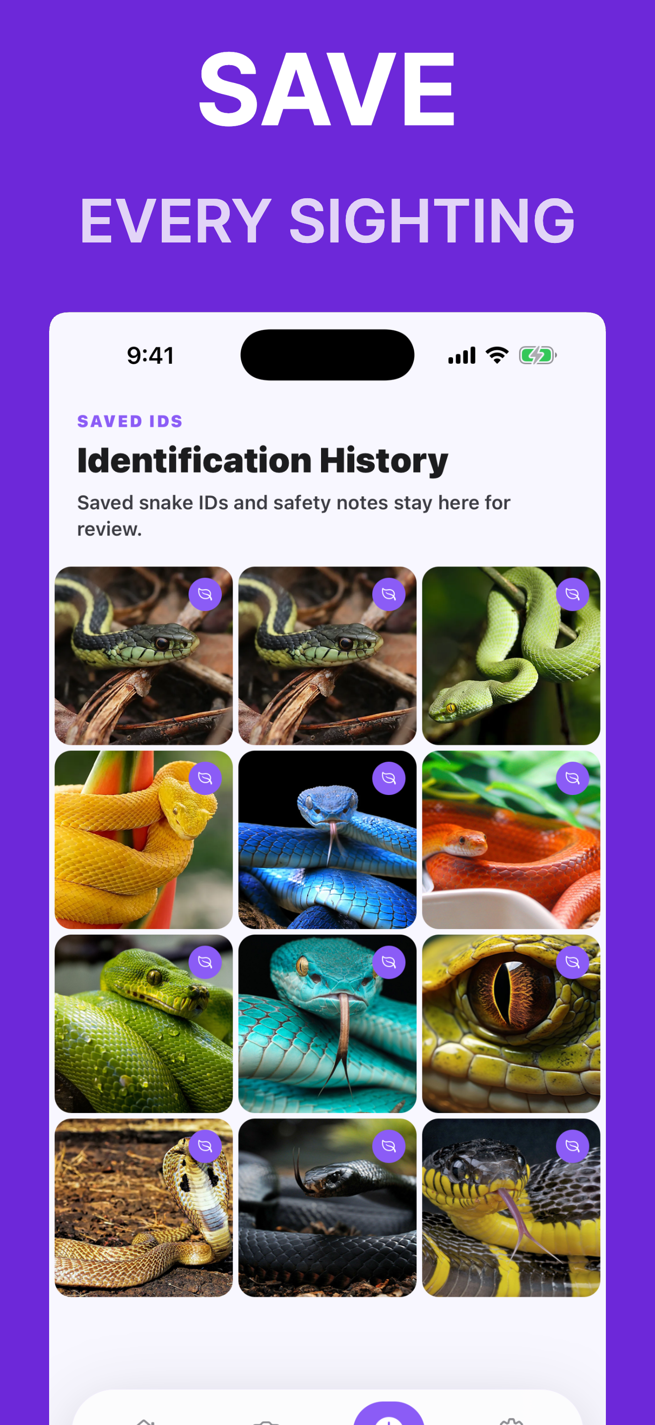 Snakefy: Snake Identifier