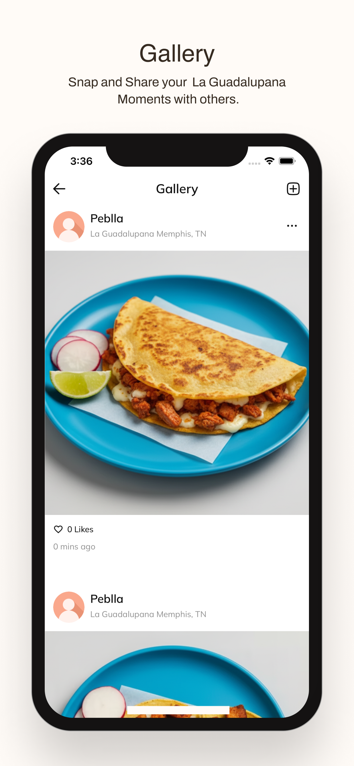 La Guadalupana screenshot 4