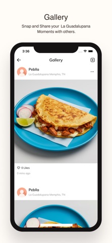 La Guadalupana screenshot