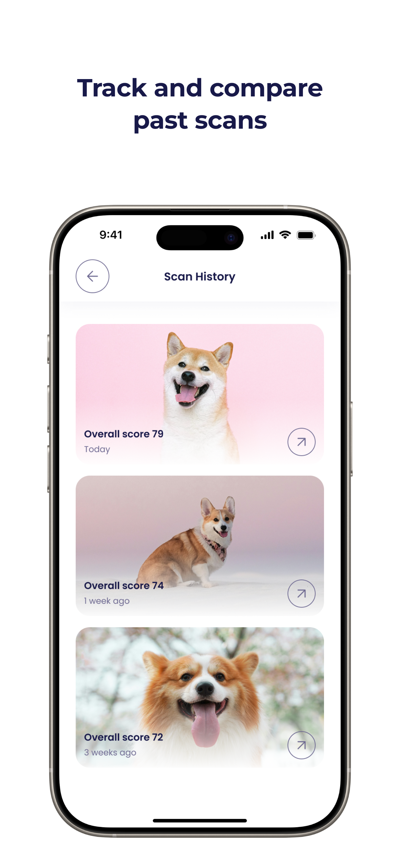 WoofAI - Pet Insights