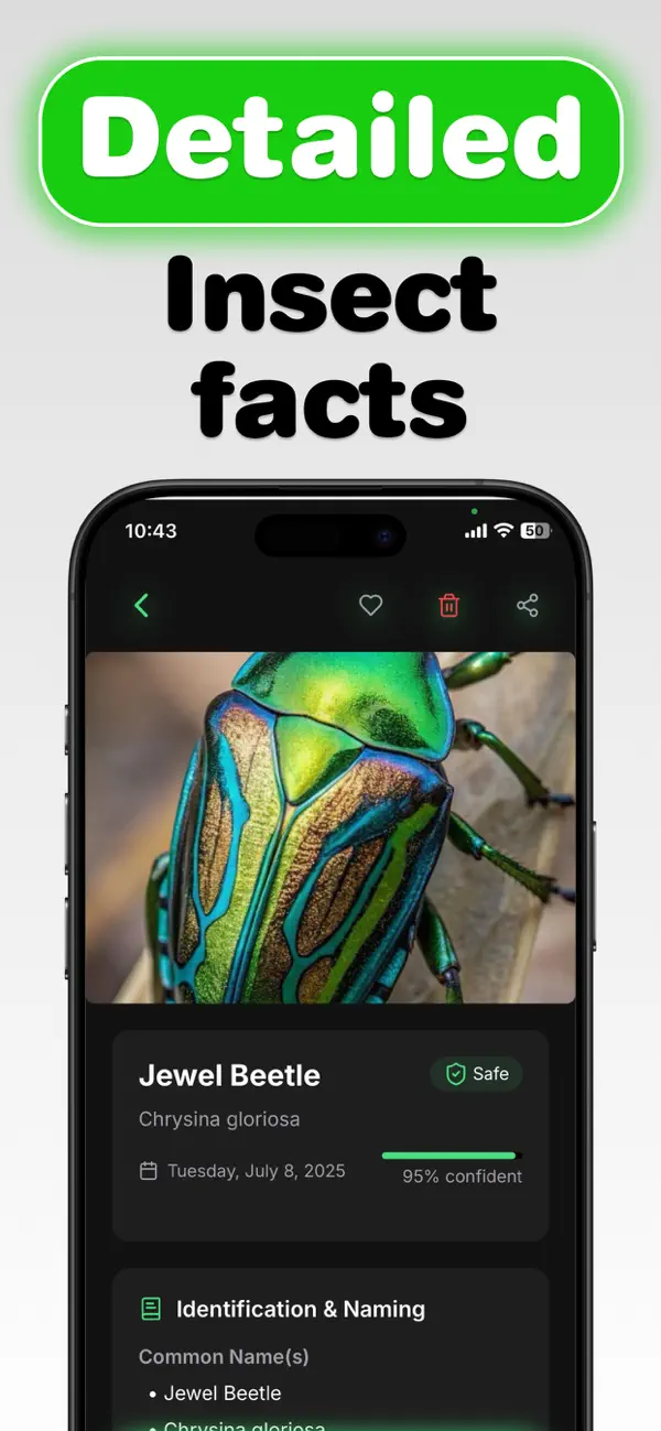 #4. Bug Identifier - BugLens (iOS) Ved: Muhammad Mukama