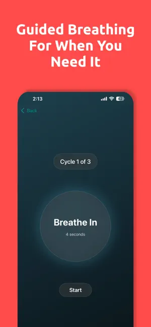 Self-Care Pet - Seher screenshot 4
