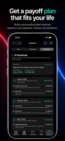Triage: Debt Payoff & Budget iPhone screenshot