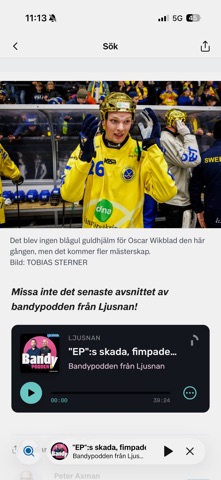 Ljusnan Screenshot 2 of 3
