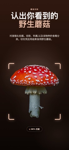蘑菇图鉴 screenshot