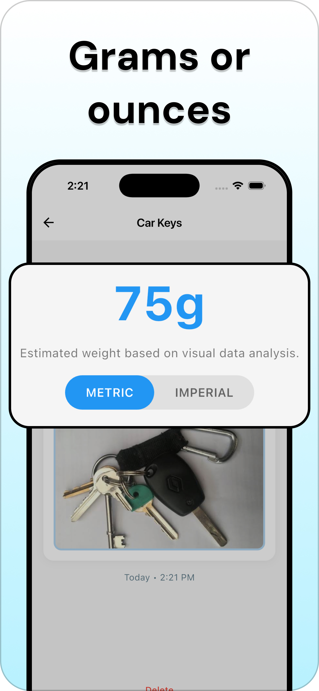 Gram Scale - ScalePro