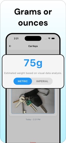 Gram Scale - ScalePro screenshot