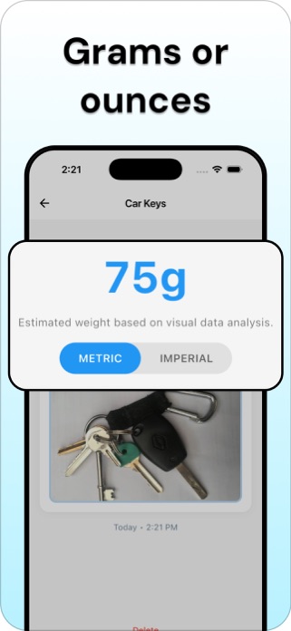 Gram Scale - ScalePro Screenshot 6 of 6