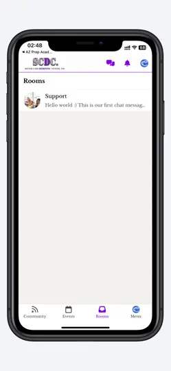 Скриншот SCDC на iPhone 2